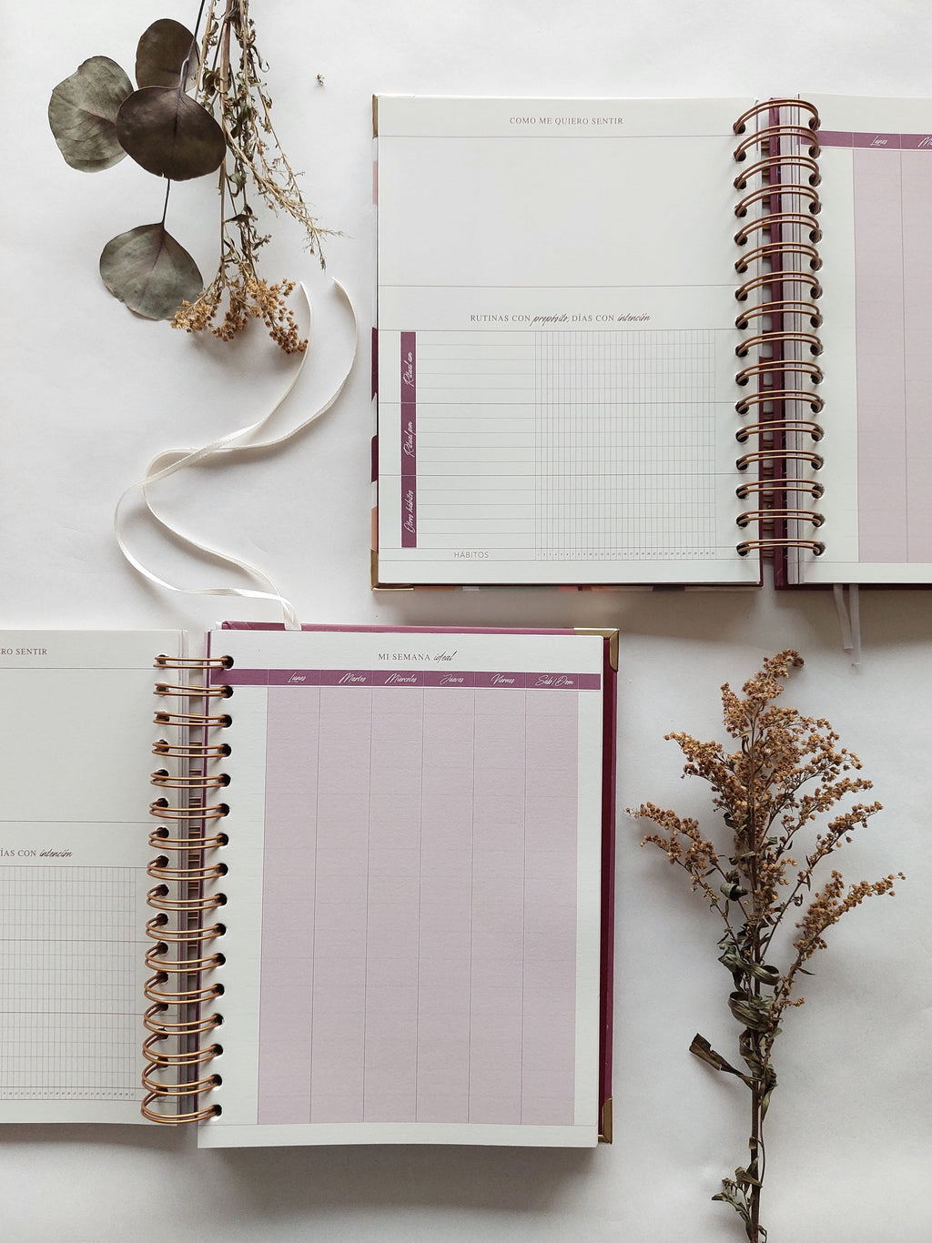 Planeador sin fechas - Fearless