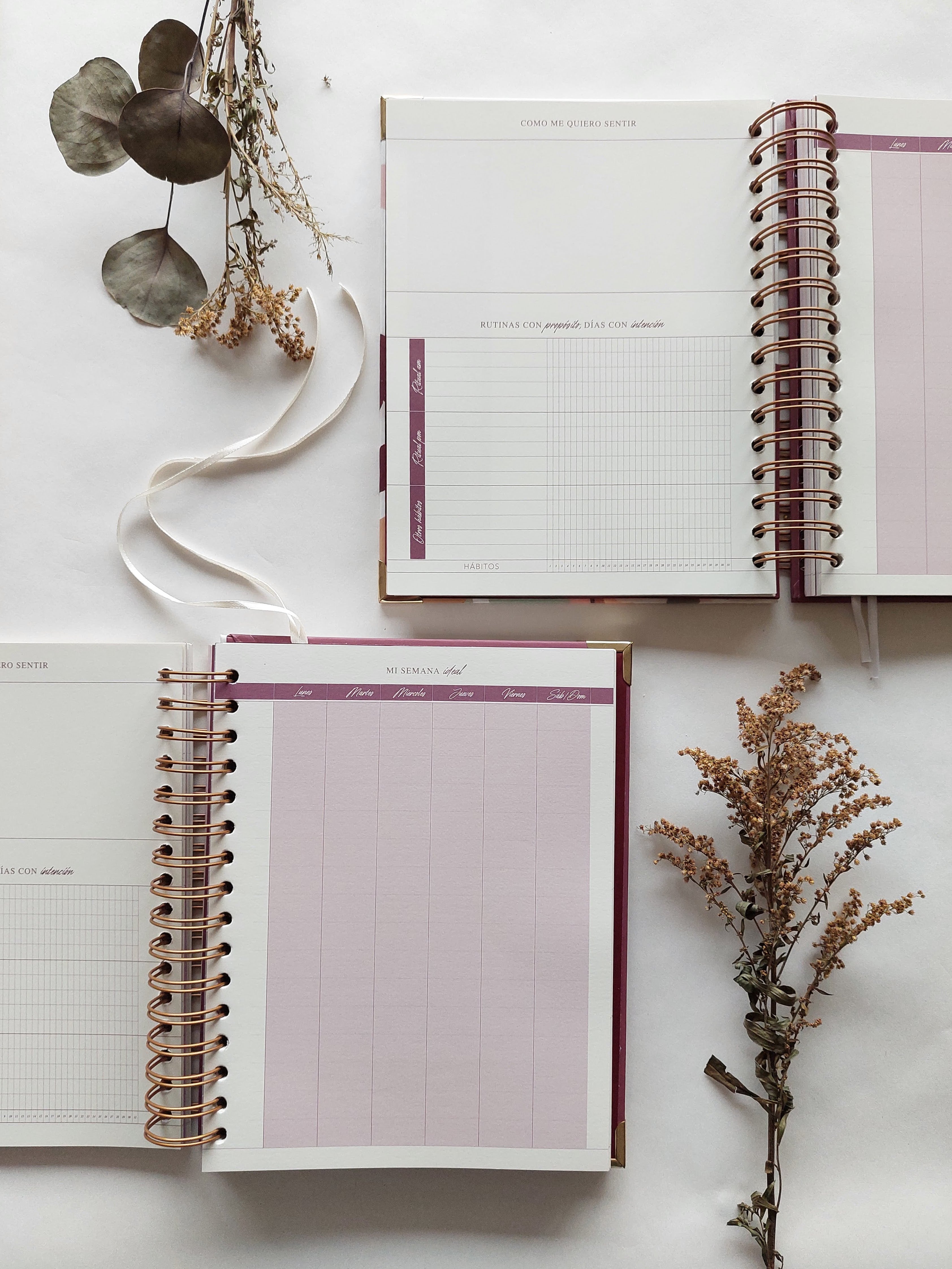Planeador sin fechas - Fearless